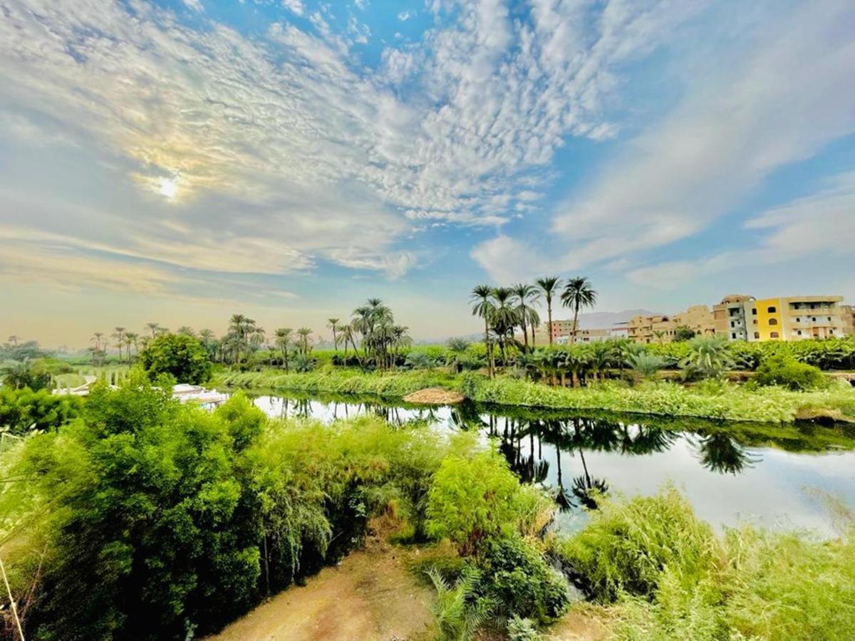 Апартаменти Luxor Nile View Flats Екстер'єр фото